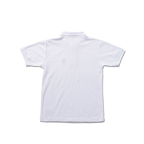 ANIMALIA2018POLO3